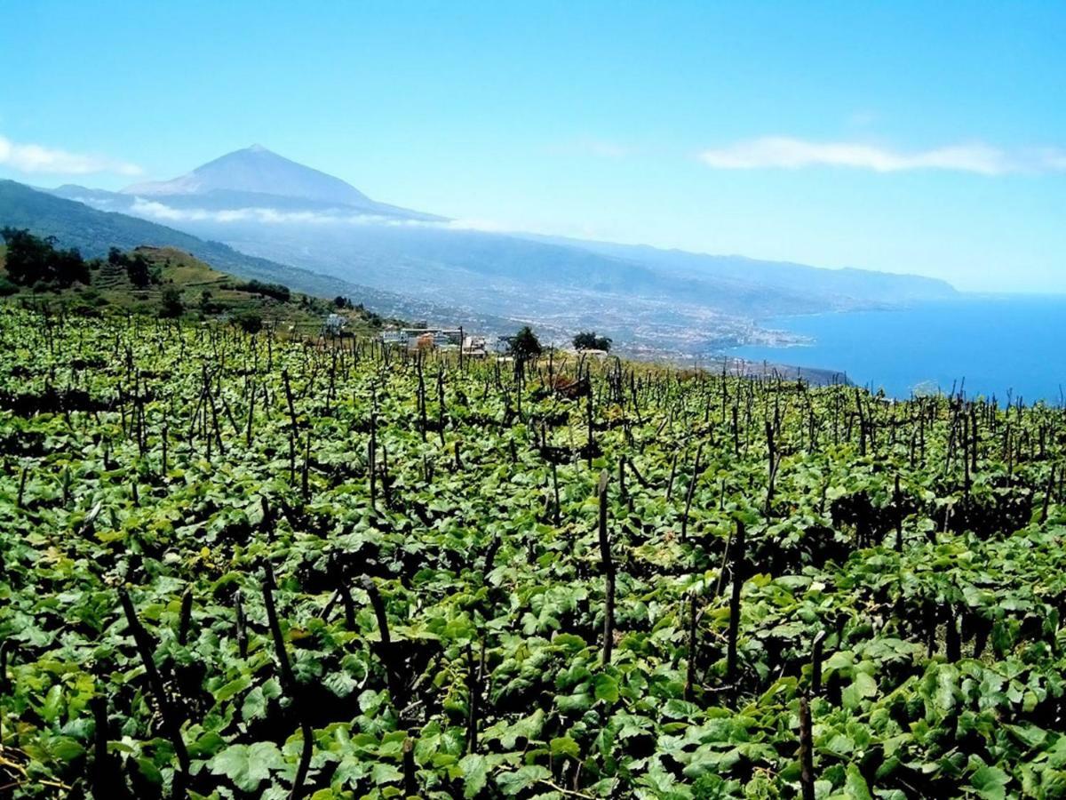Paraiso Tranquilidad Vistas Mar Y Teide La Victoria de Acentejo Exterior foto